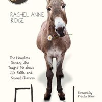 Flash ~ Rachel Anne&nbsp;Ridge